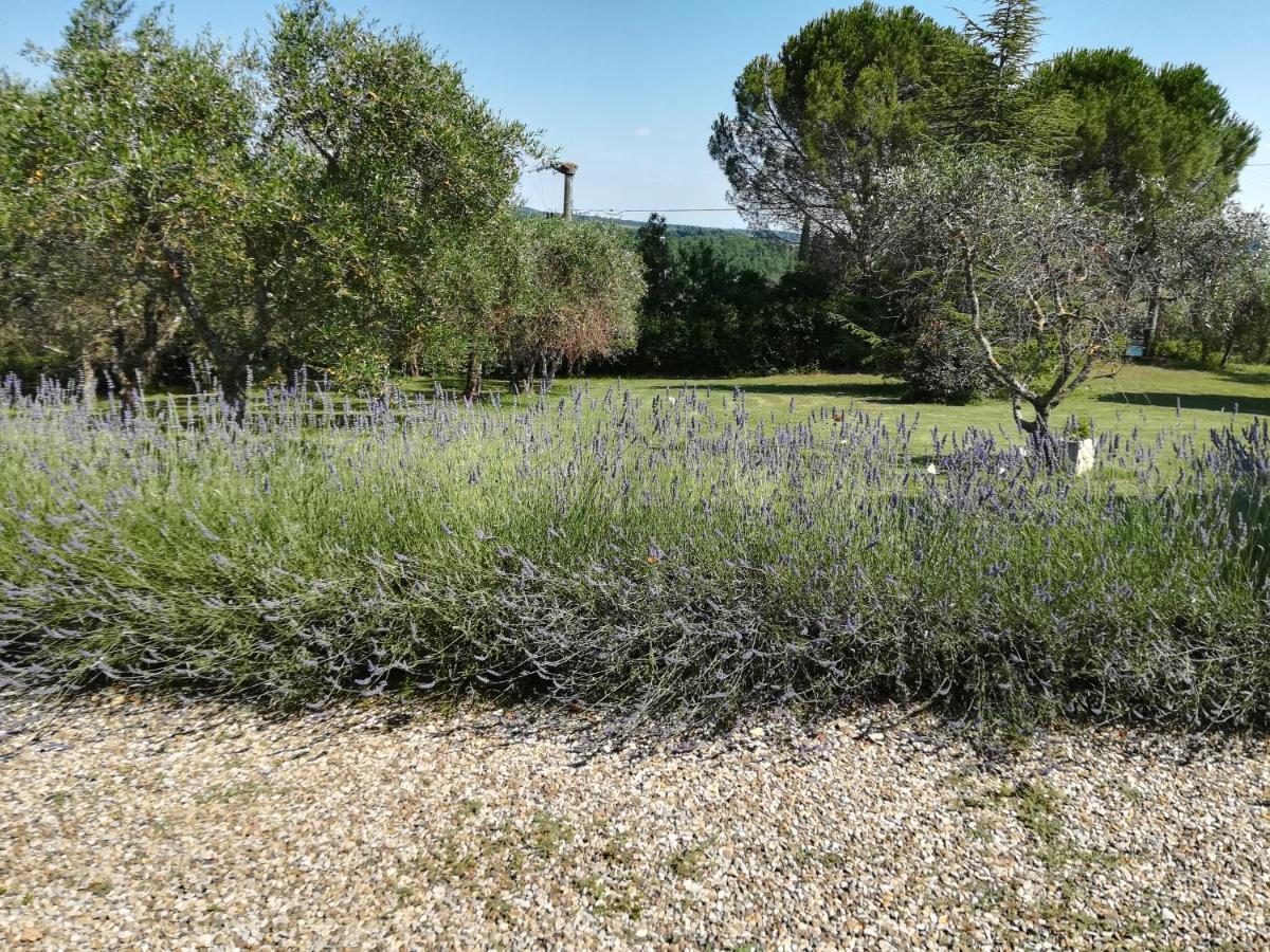 Ferienwohnung Casa In Collina Siena Exterior foto